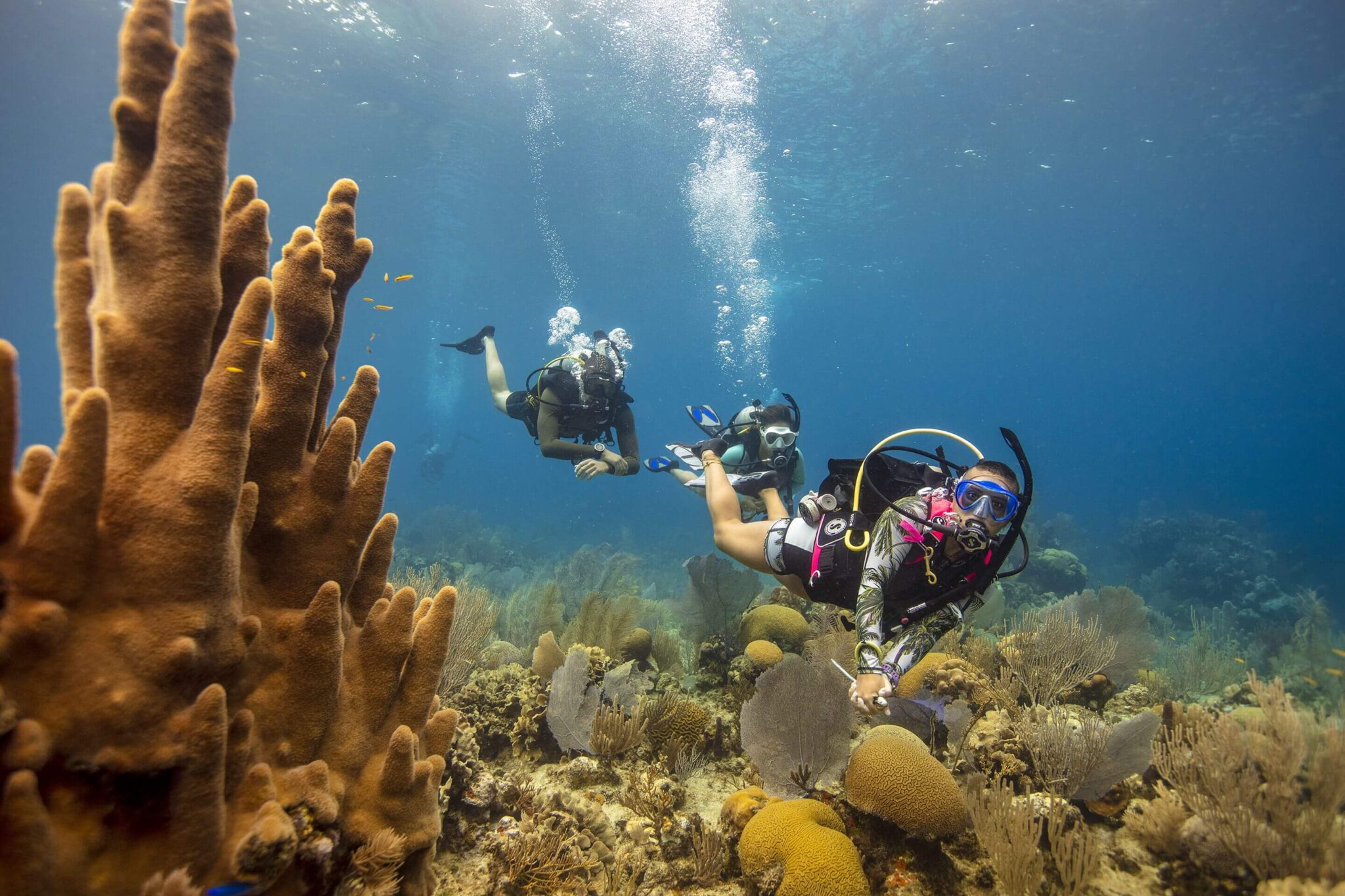 epic diving in Honduras