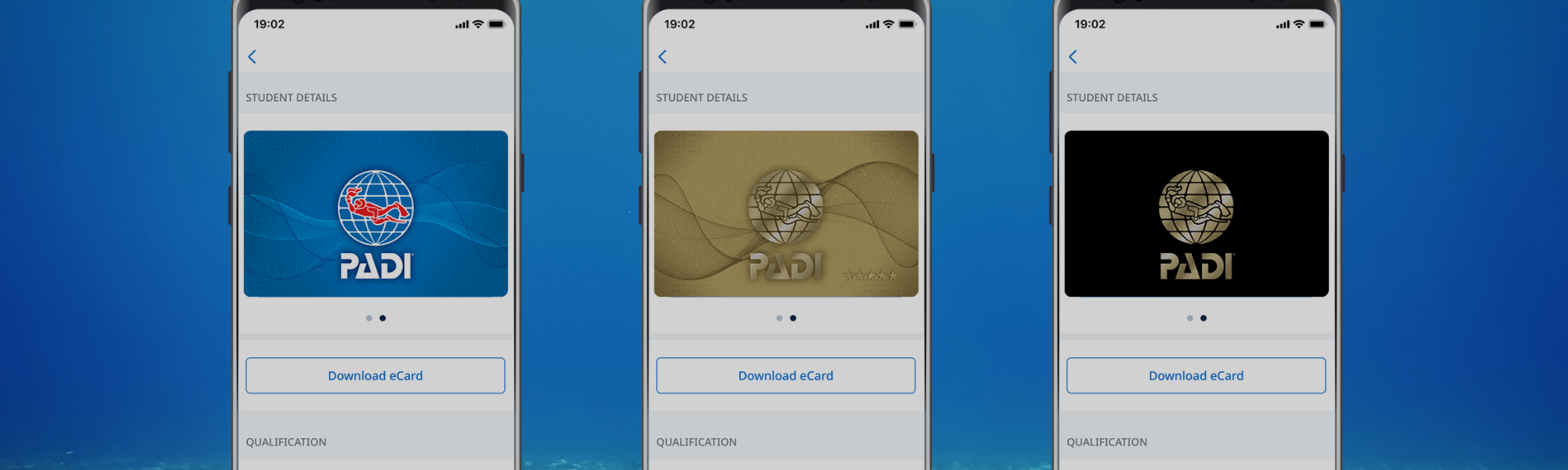 PADI Certification Cards Explained: Types, Colors and What They Mean