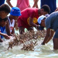 people clean coral before planting it underwater