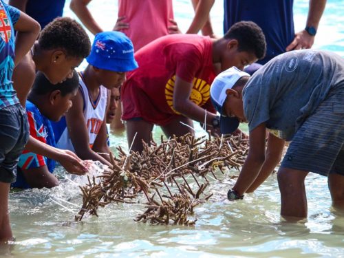 people clean coral before planting it underwater