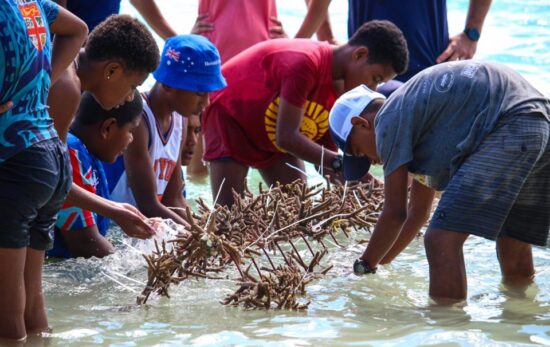 people clean coral before planting it underwater