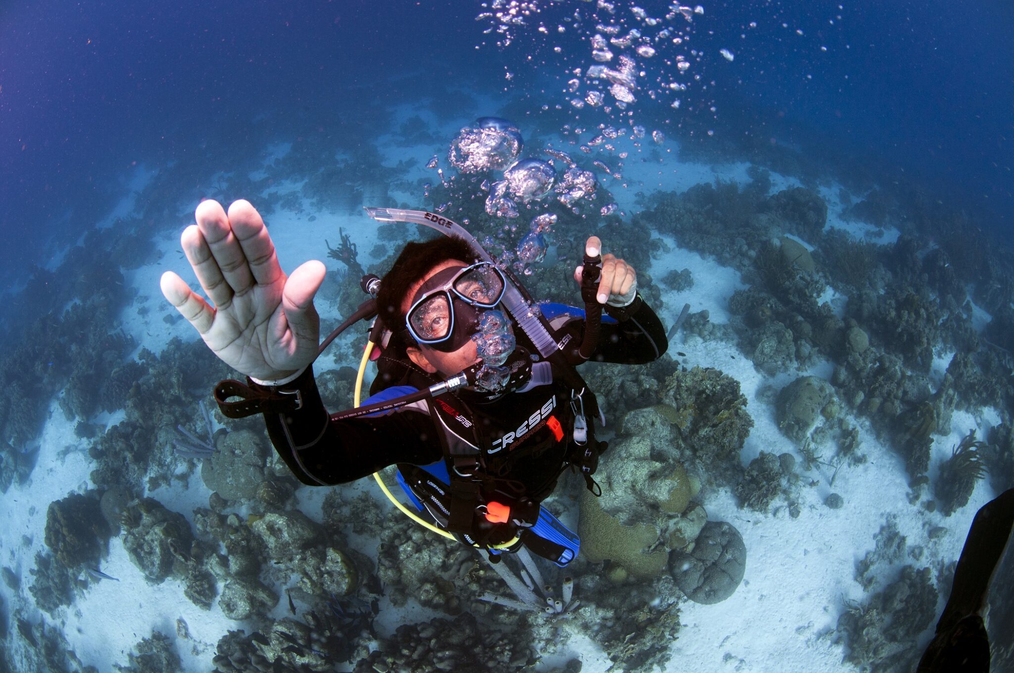 a diver doing emergency swimming ascent