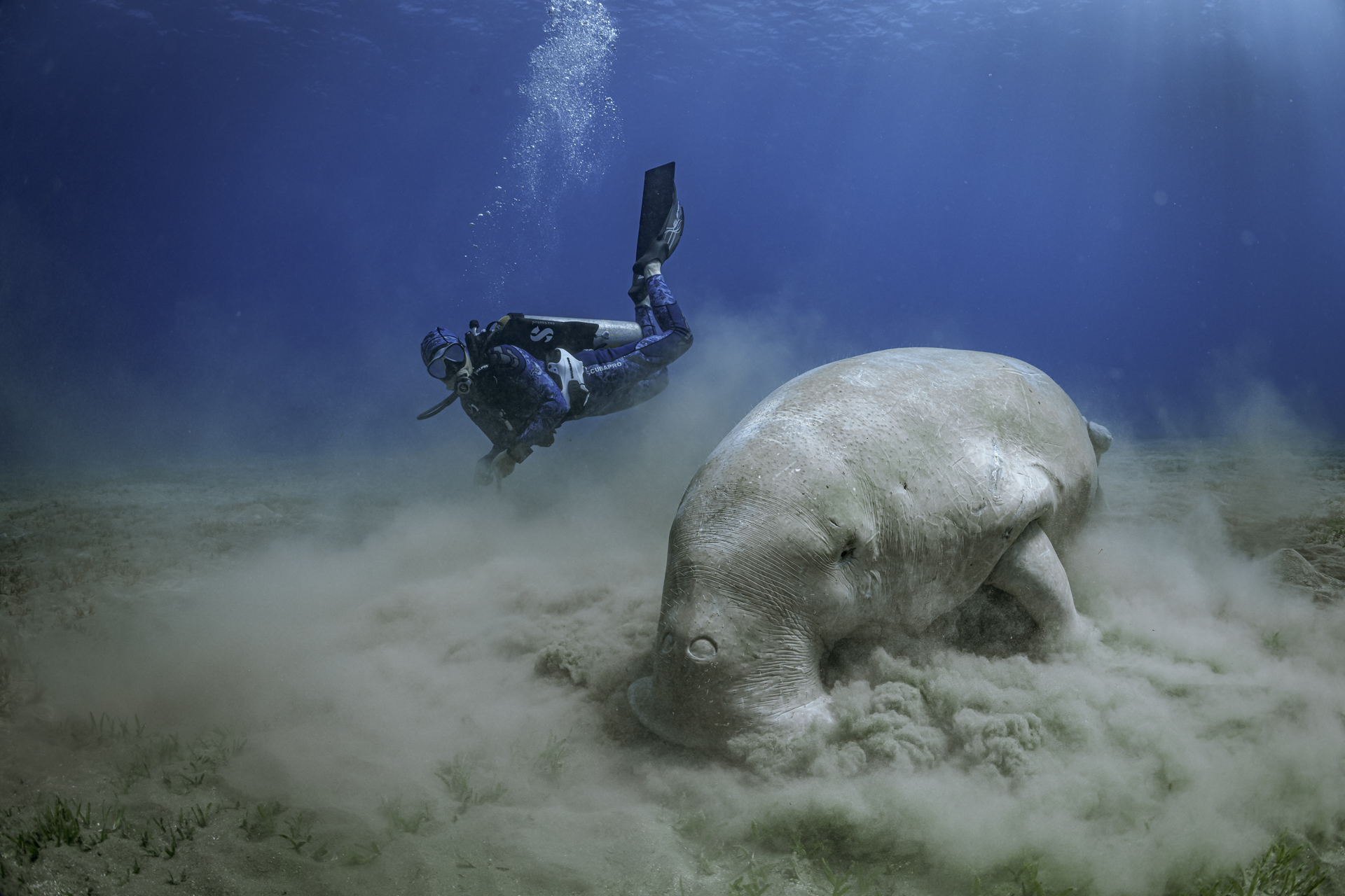 The 5 Best Scuba Diving Resorts in Egypt