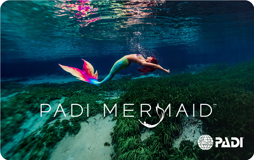 PADI Mermaid design card for Mermaid Courses