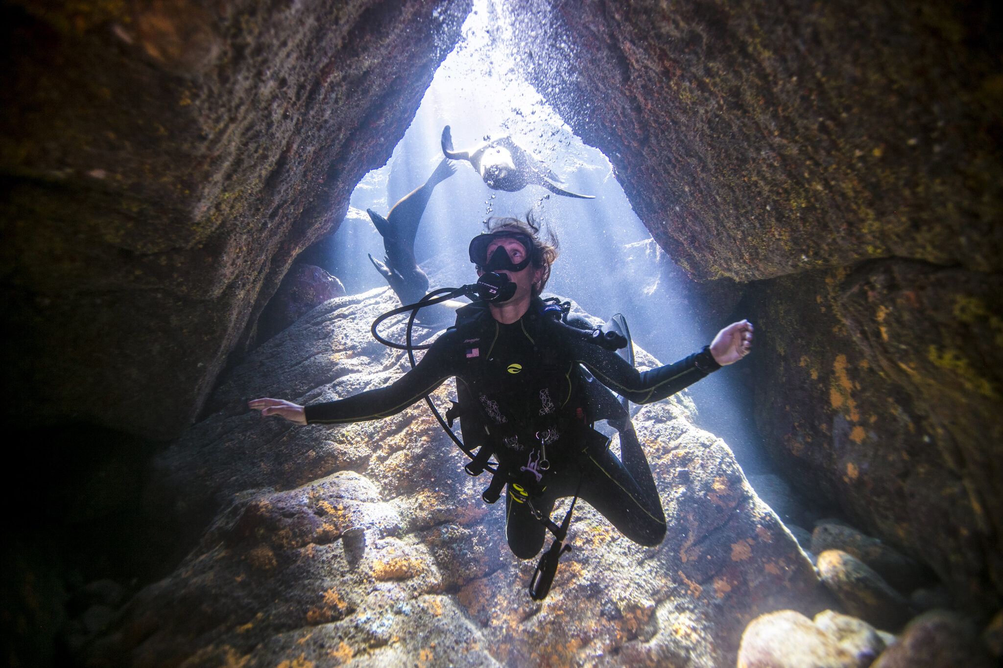 A female diver explores a cave in La Paz underwater with sea lions in the background