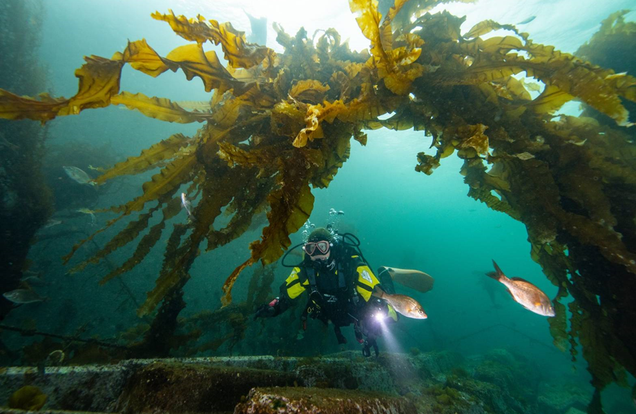 PADI AmbassaDiver佐藤寛志（クマ）さんの一日