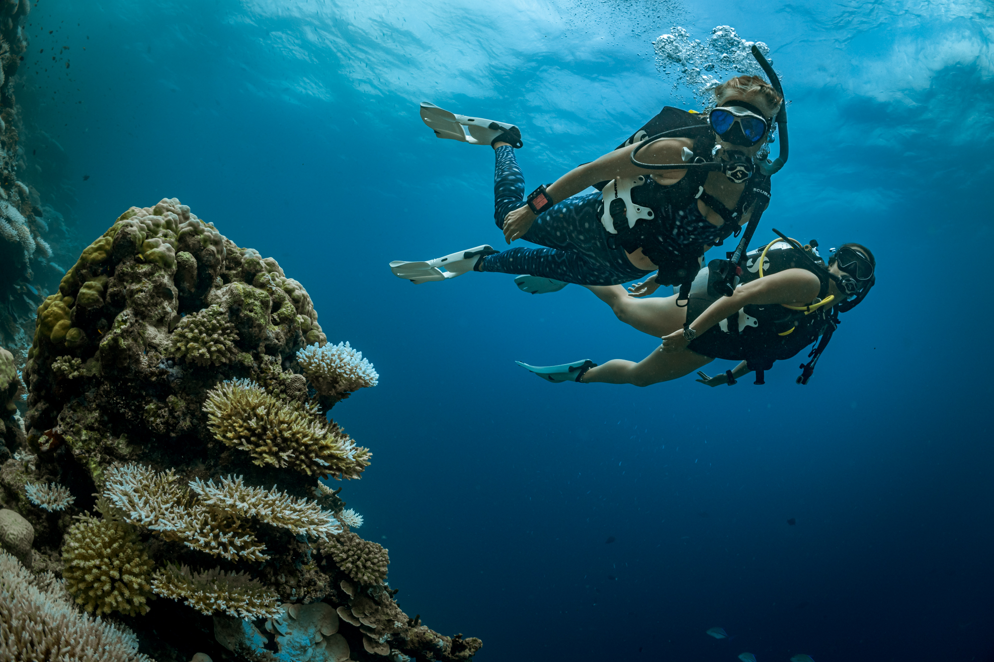 dos buceadores observan un arrecife de coral en las Maldivas