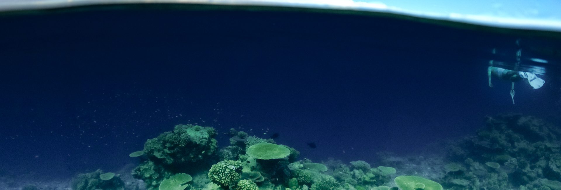 The Park Hyatt Maldives Hadahaa – A Scuba Diver’s Review