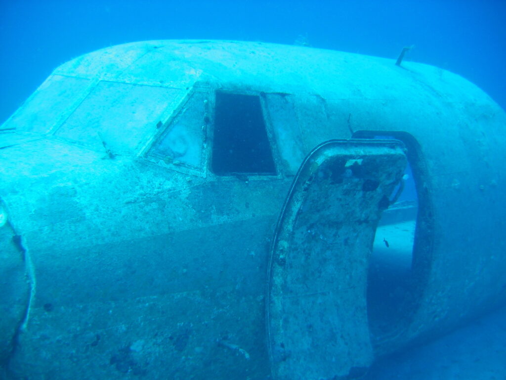 The Best Places to Scuba Dive in Jamaica