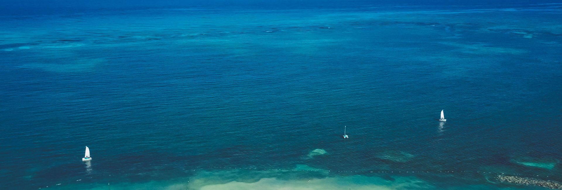 The Best Dive Sites in Jamaica