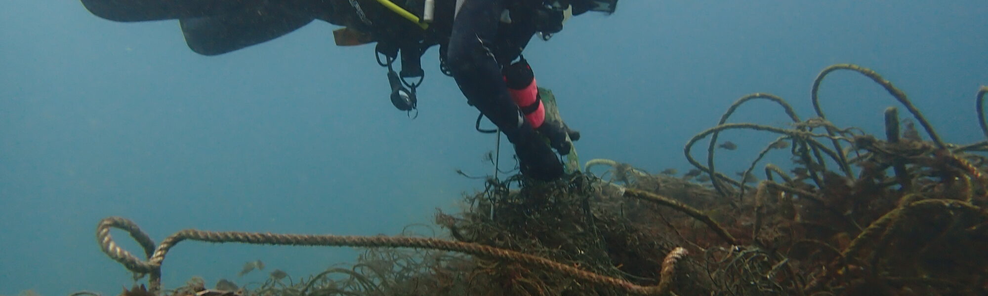 Dive Against Debris(다이브 어게인스트 데브리) 영웅들: 글로벌 변화에 기여하는 지역 액션