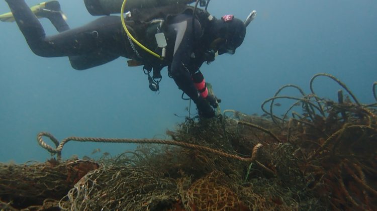 Scuba diver removing ghost fishing net.