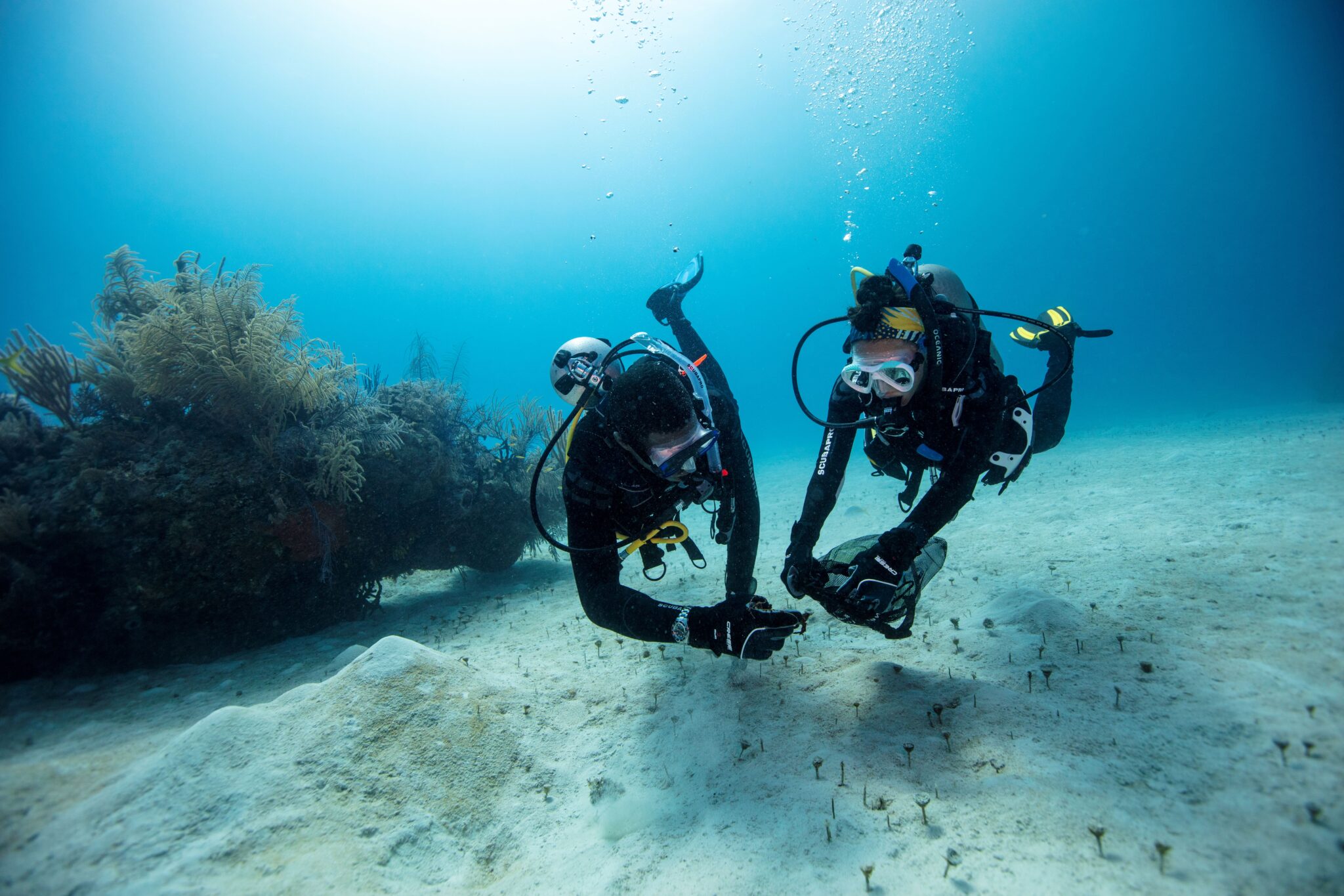 Two scuba divers picking up marine debris underwater 