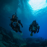 two divers swim in dry suits in New Zealand underwater