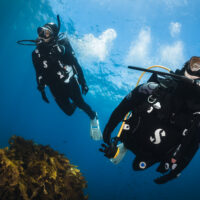 two divers swim towards the camera in the Maldives