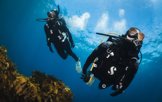 two divers swim towards the camera in the Maldives