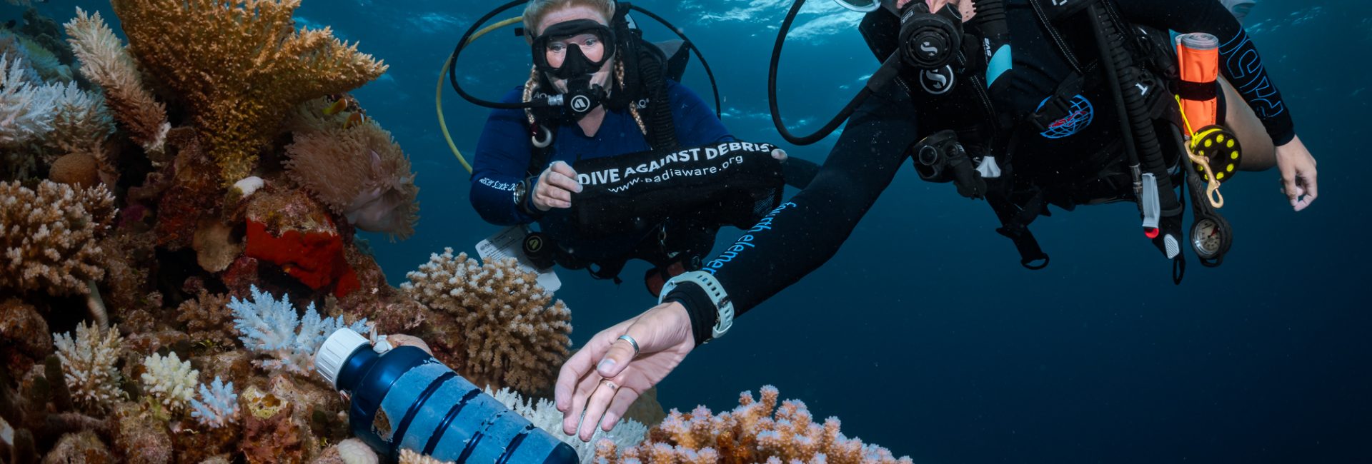 Citizen Science Diving Makes a Big Difference