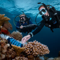 A diver picks up a plastic bottle on a coral reef and places it in a dive against debris bag