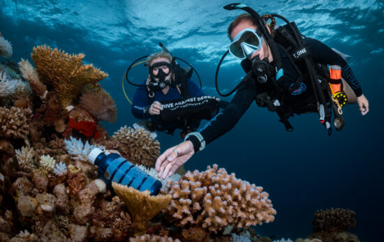 A diver picks up a plastic bottle on a coral reef and places it in a dive against debris bag