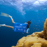 Scuba diver holding the Adopt the Blue flag underwater
