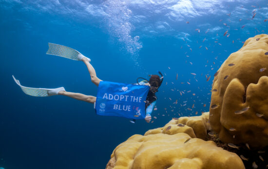 Scuba diver holding the Adopt the Blue flag underwater