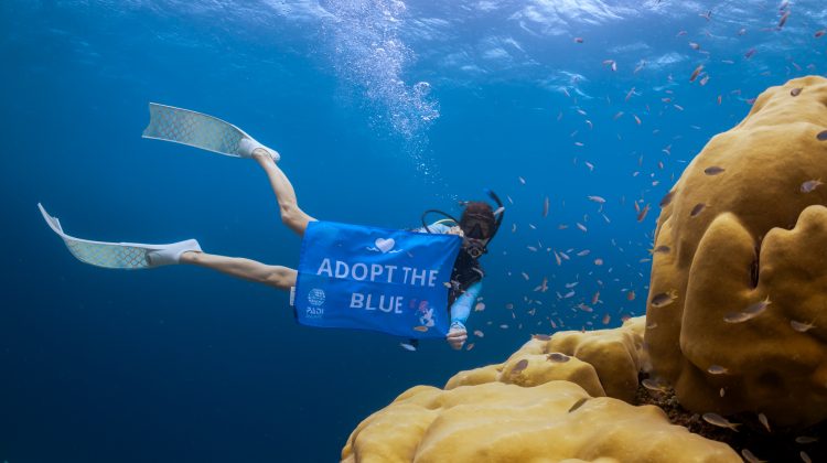 Scuba diver holding the Adopt the Blue flag underwater