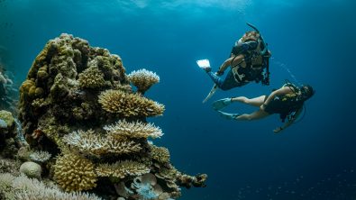 two divers explore a coral reef in the Maldives