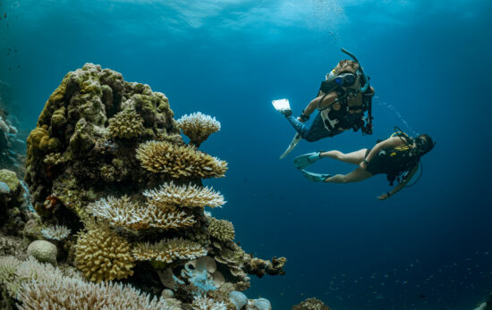 two divers explore a coral reef in the Maldives