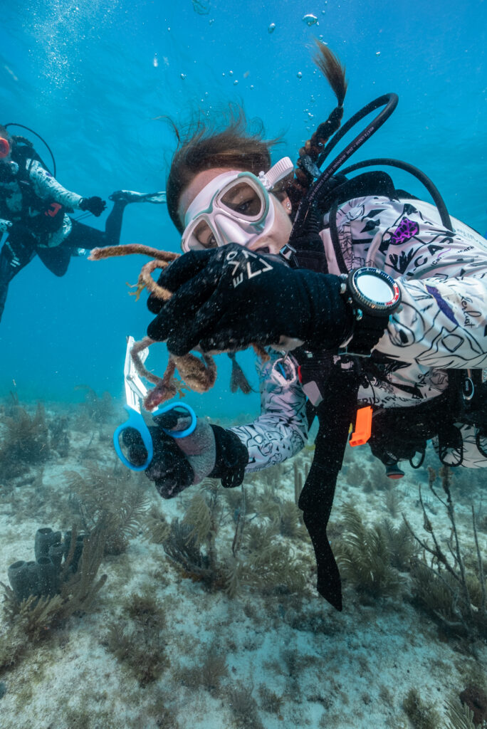 A diver cuts away debris on the ocean floor