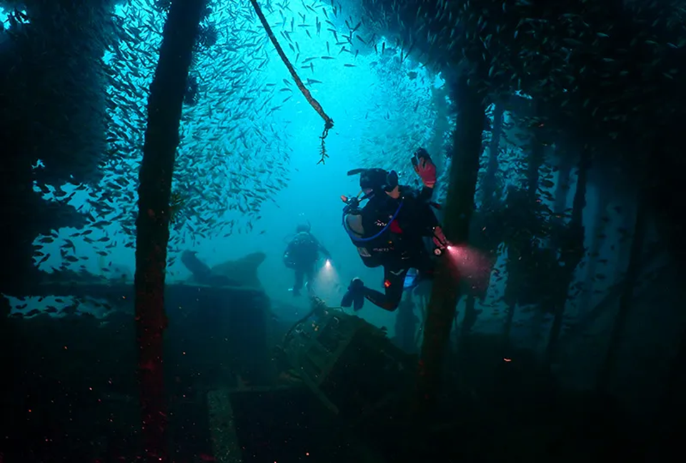 diver taking picture of inside of wreck ship