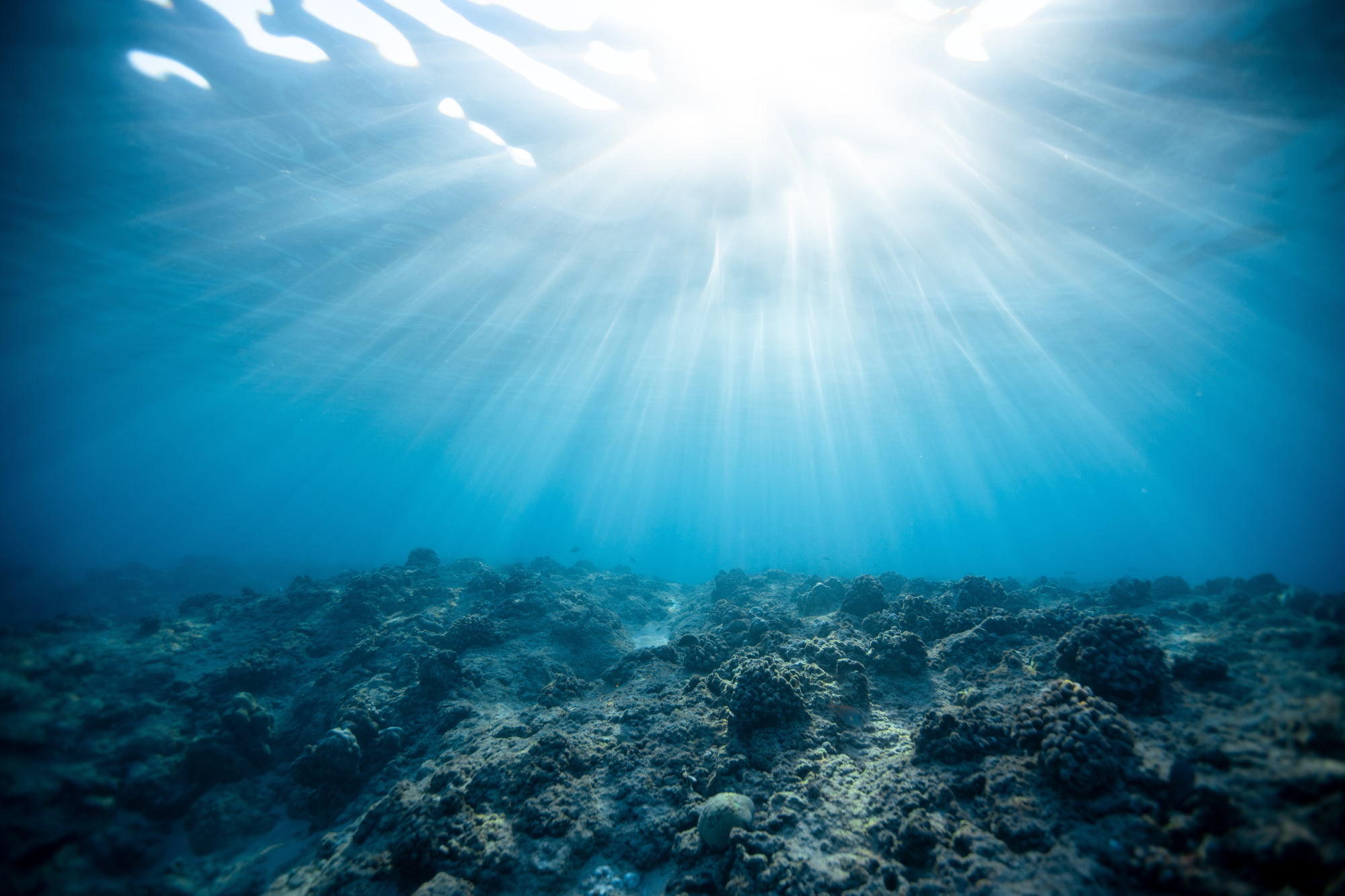 Zonnestralen stralen door de oceaan - onderwaterzicht