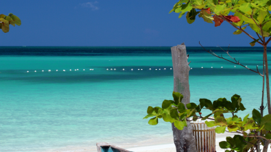 Beach and water view of the Caribbean