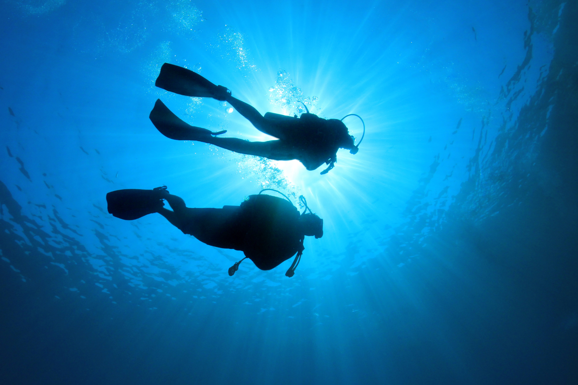 Two scuba divers diving together