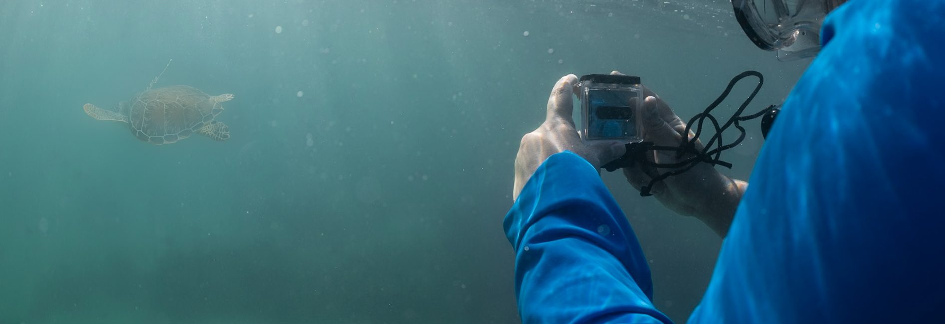 Vous pouvez faire don de vos vieux appareils photo/vidéo pour soutenir la préservation de l&rsquo;océan