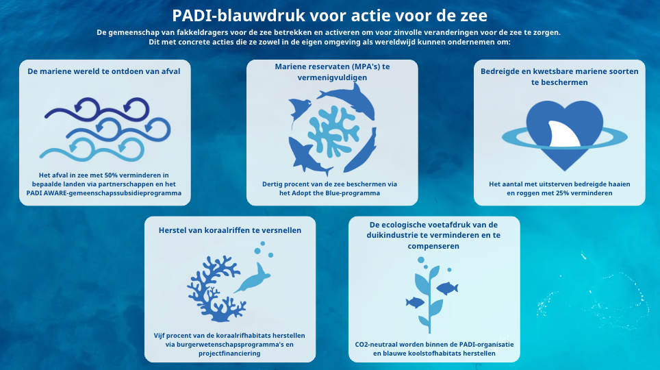 de padi blauwdruk voor Ocean Action