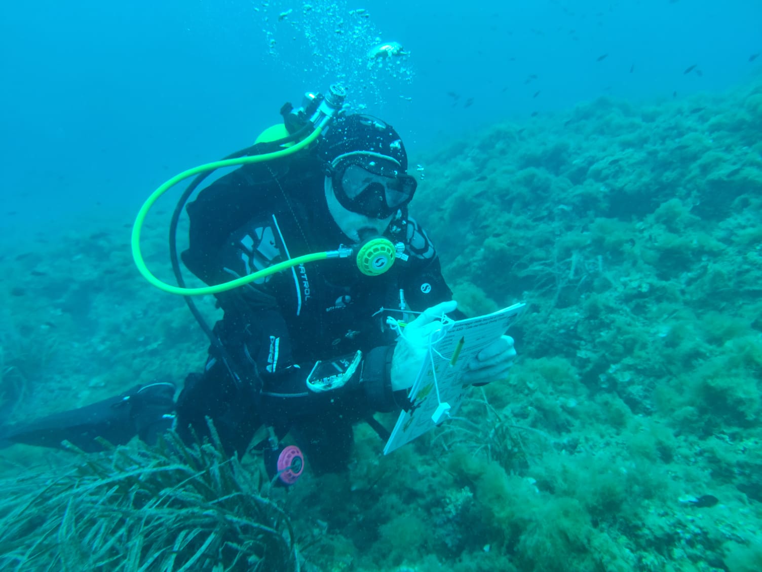 Un Buceador realiza una encuesta bajo el agua para salvar el océano