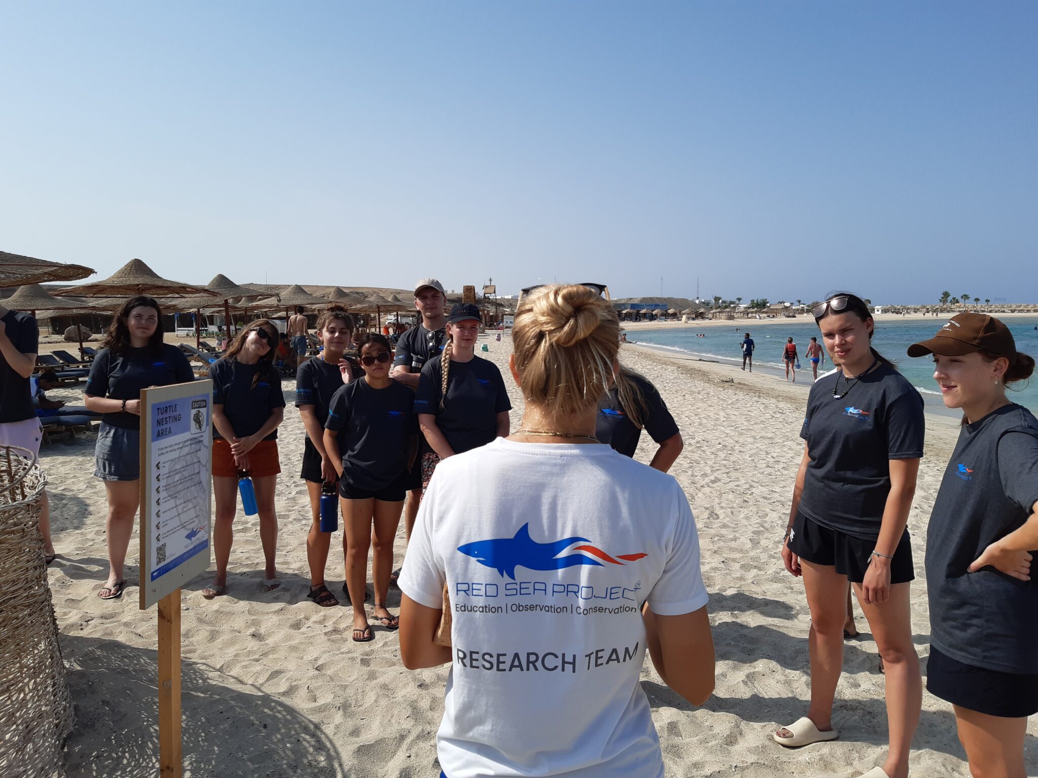 Buceadores reciben instrucciones en la playa antes de una inmersión para salvar el océano