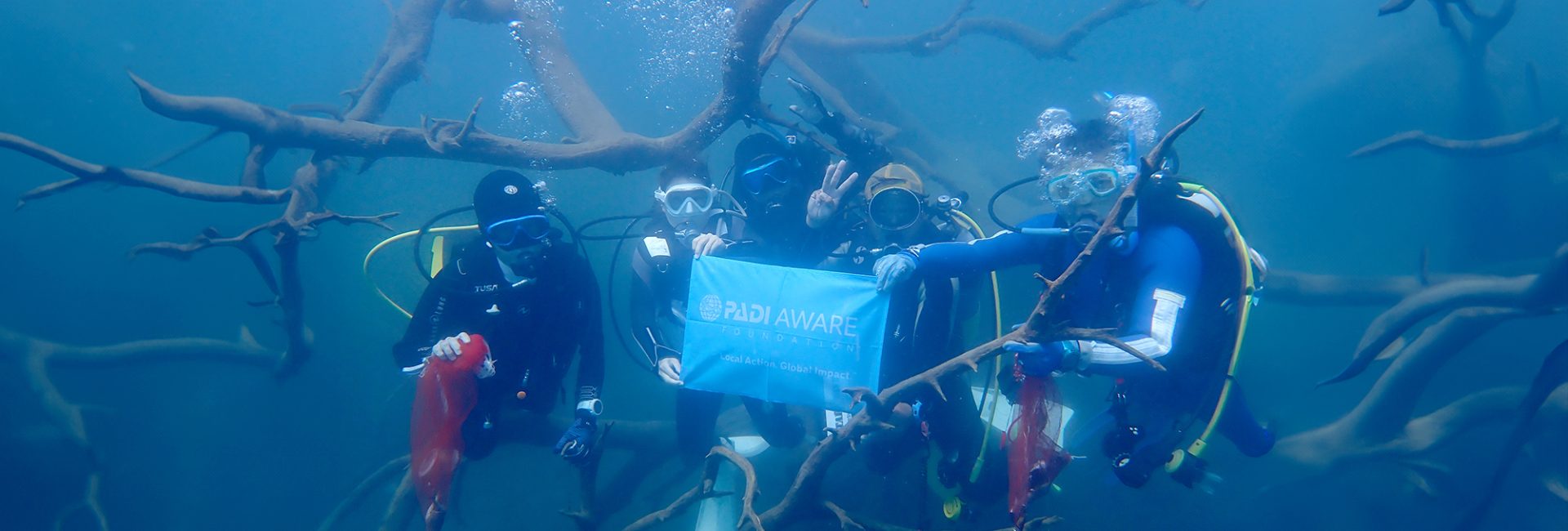 AWARE MONTH 2024～本栖湖 Keep Blue Fes.イベント開催！