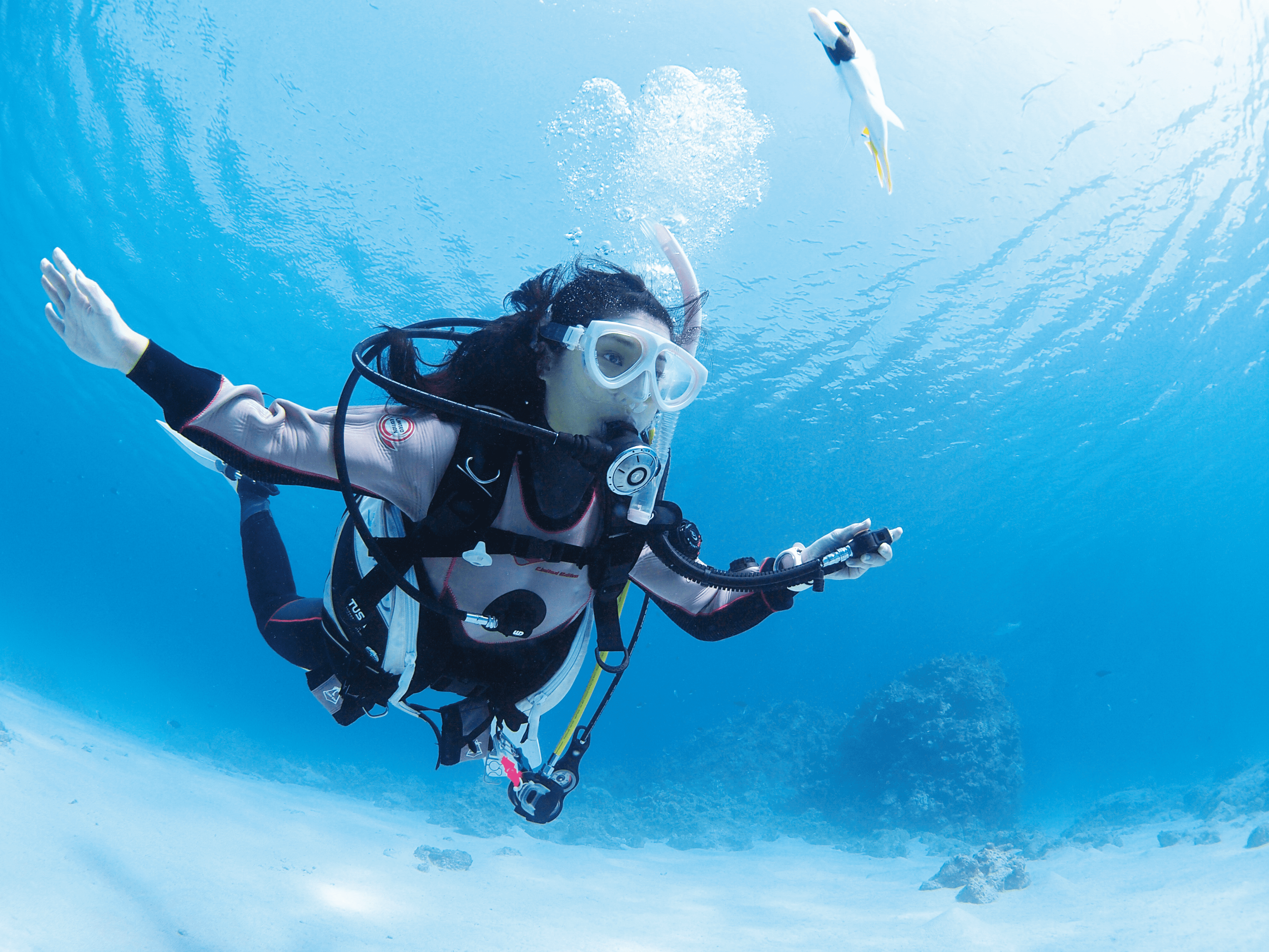 a female diver open her arms and dive like a flying bird