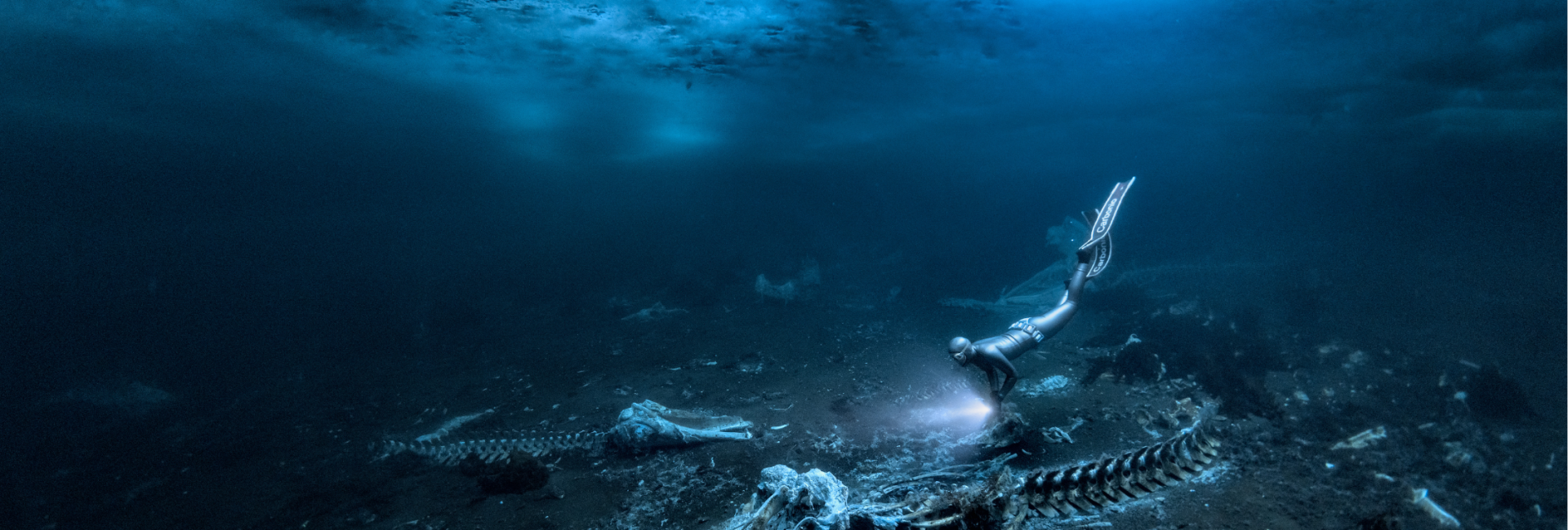 Showcase Your Talent: PADI Sponsors ‘Up & Coming’ Category at UPY 2025 