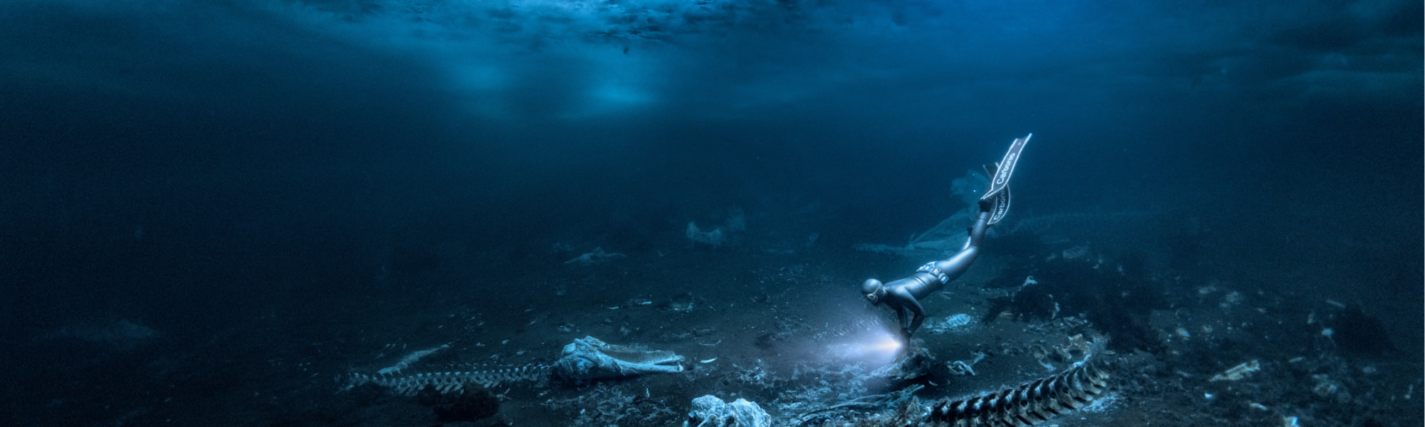 Showcase Your Talent: PADI Sponsors ‘Up & Coming’ Category at UPY 2025 