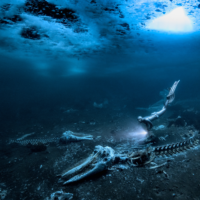 Alex Dawson UPY 2024 winner with his image showing a whale skeleton beneath the ice.