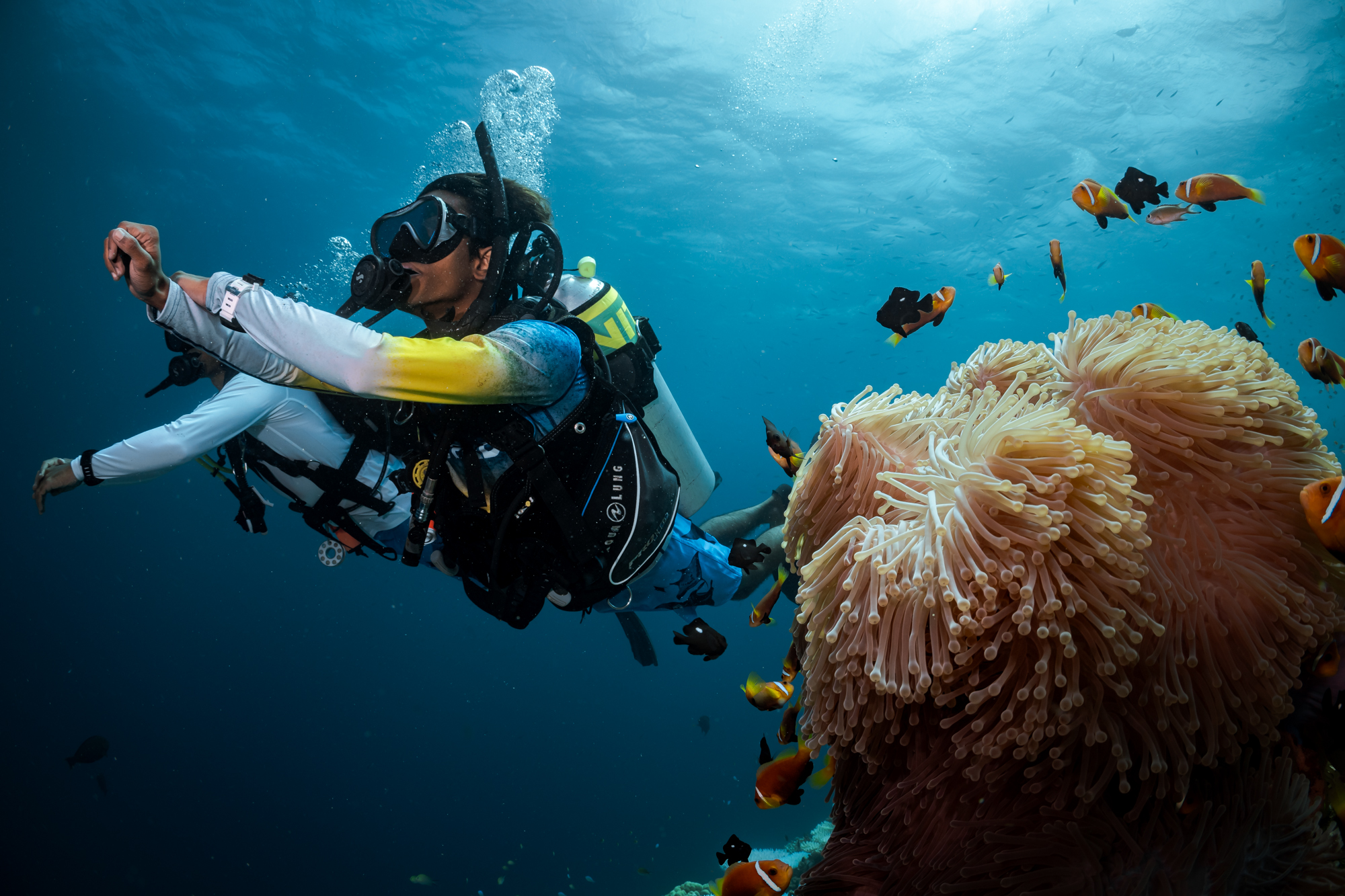 two divers explore a coral reef in the Maldives