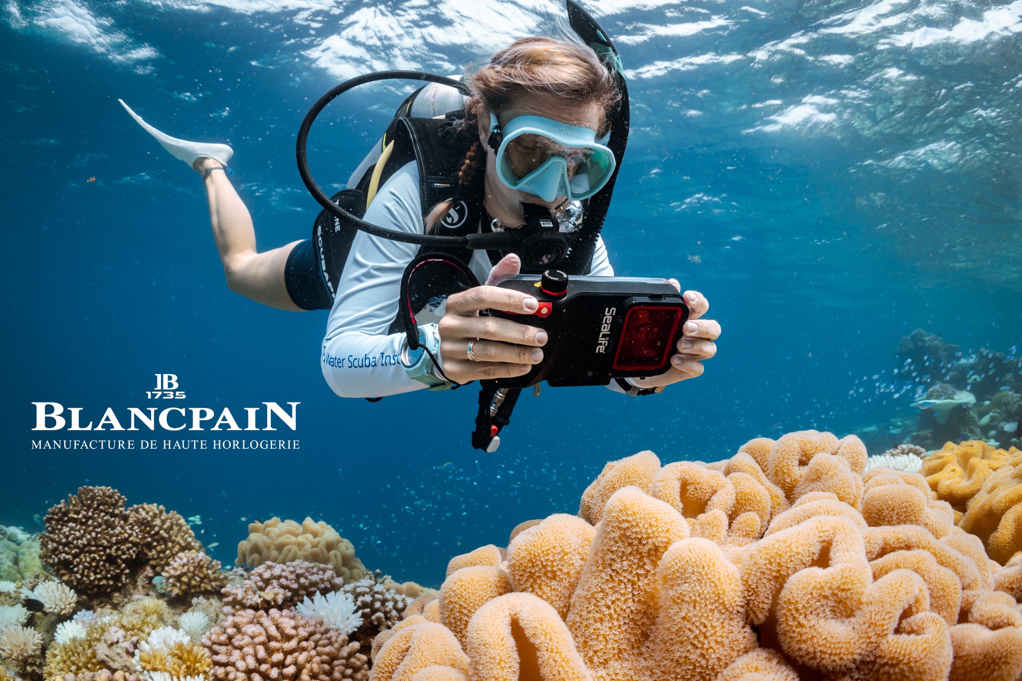 a diver photographs coral underwater