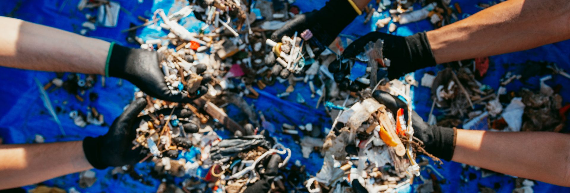 Ocean Conservation Projects in Brazil & How You Can Help