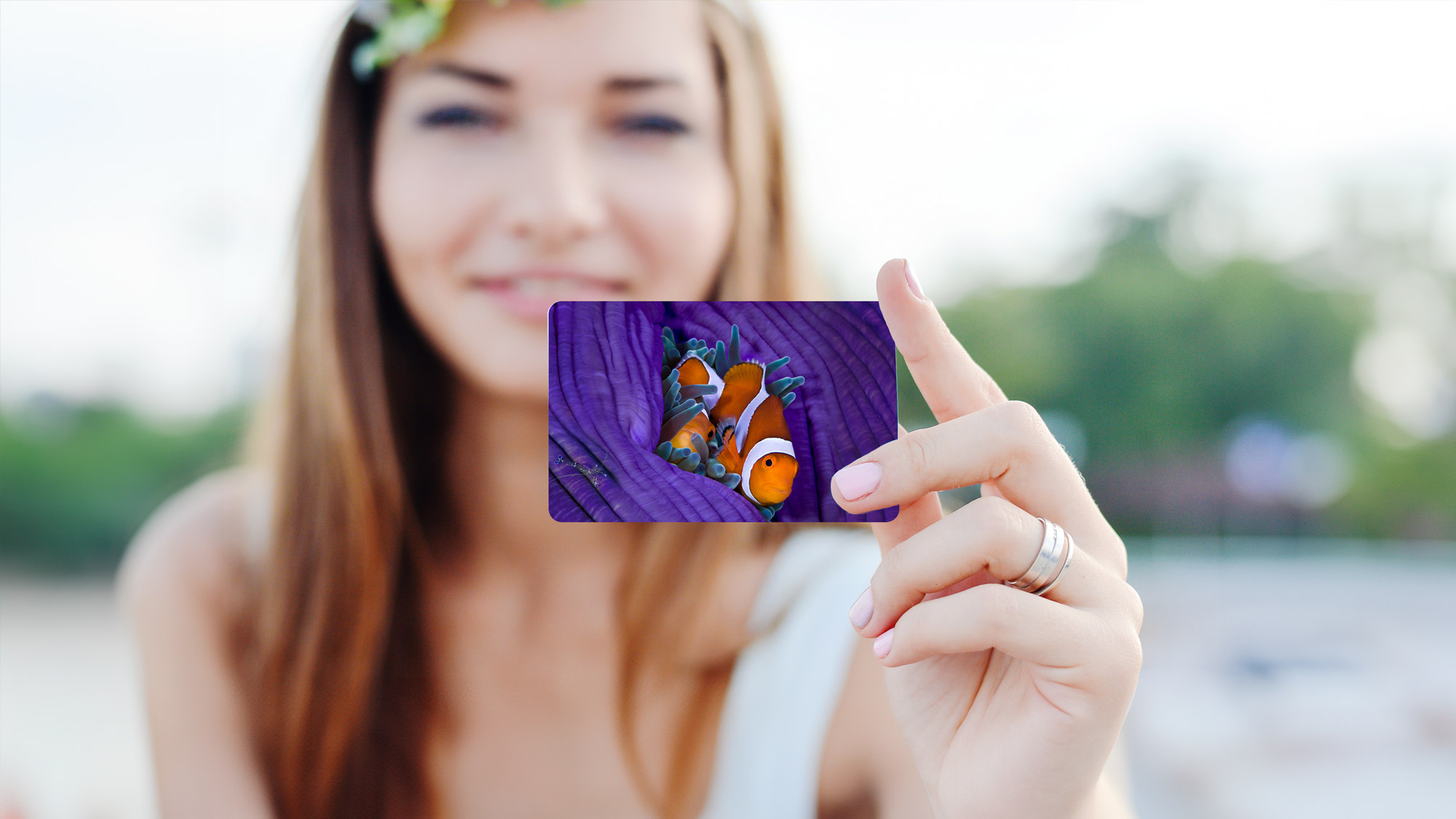 The new PADI certification card depicting an anemonefish on a purple anemone