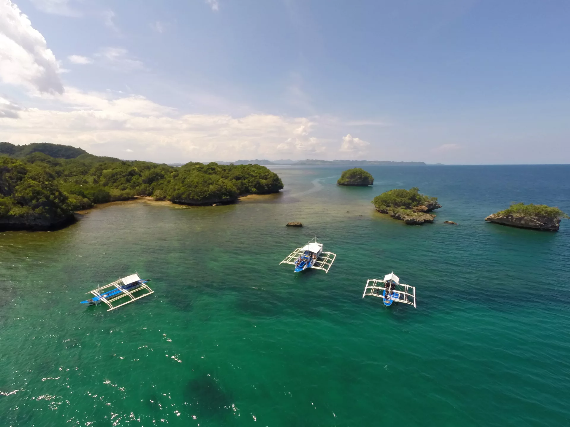 magic oceans dive resort in the philippines