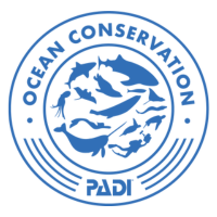 ocean conservation logo