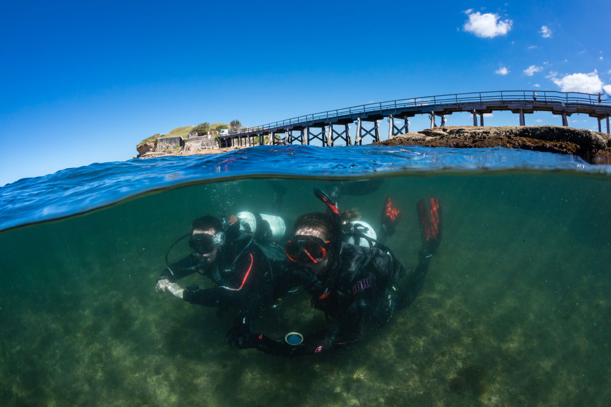 An over/under shot of two divers exploring a dive site in Sydney