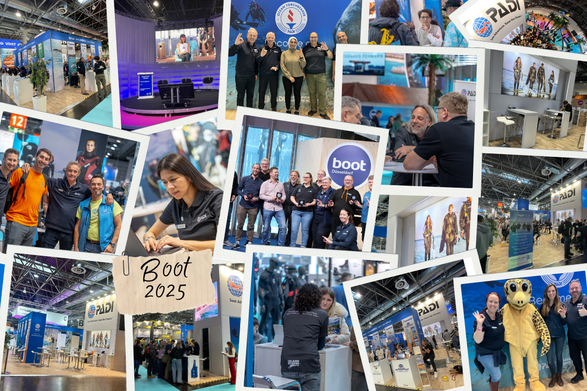 Collage van de Bootduikshow